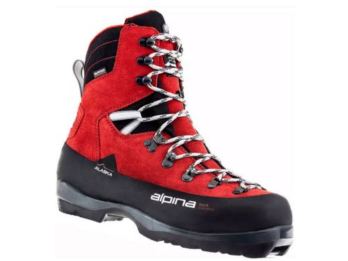 Bilde av Alaska | BC | Fjellskisko