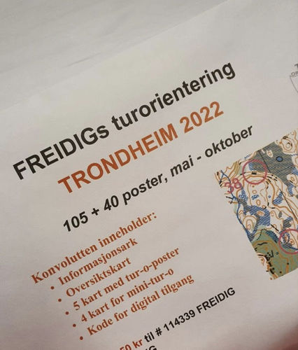 Bilde av Freidig turorientering