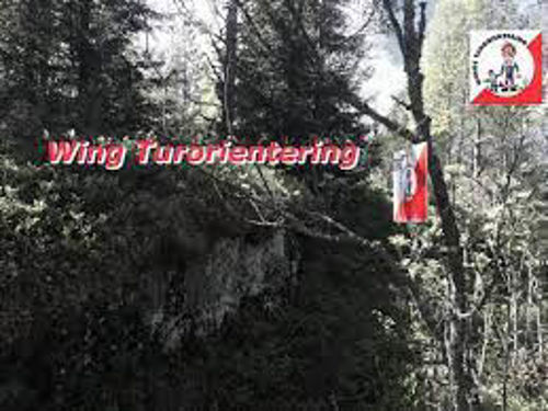 Bilde av Wing Turorientering