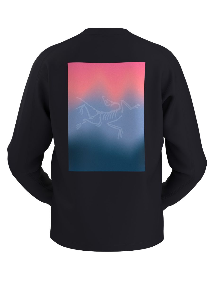 Longsleeve til herre fra Arcteryx i bomull med tøft print på ryggen