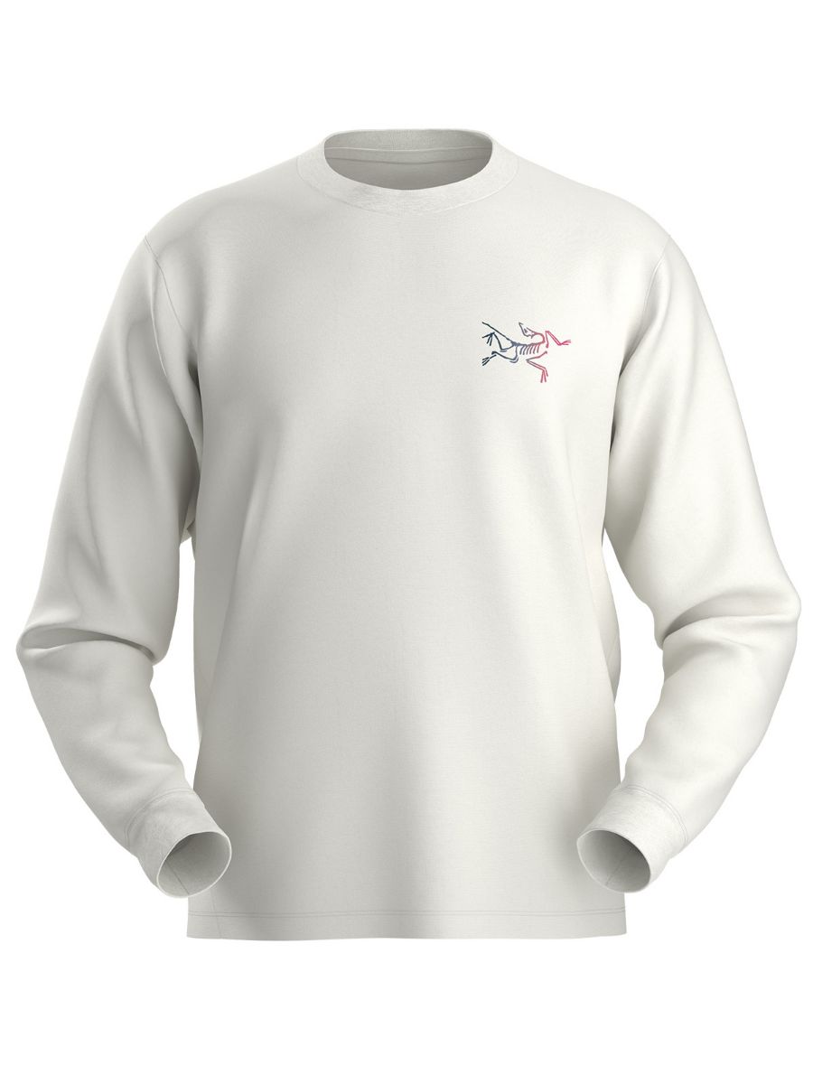 Longsleeve til herre fra Arcteryx i bomull med tøft print på ryggen