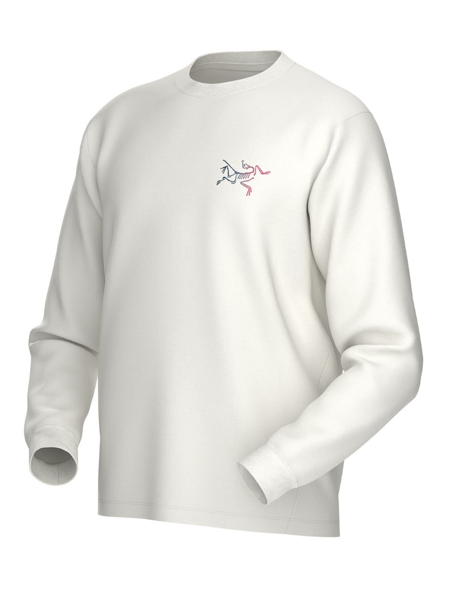 Longsleeve til herre fra Arcteryx i bomull med tøft print på ryggen