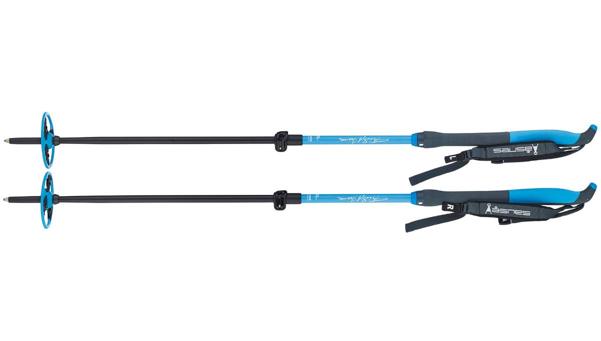 Bilde av Nansen 2-Part Pole |  Fjellskistaver