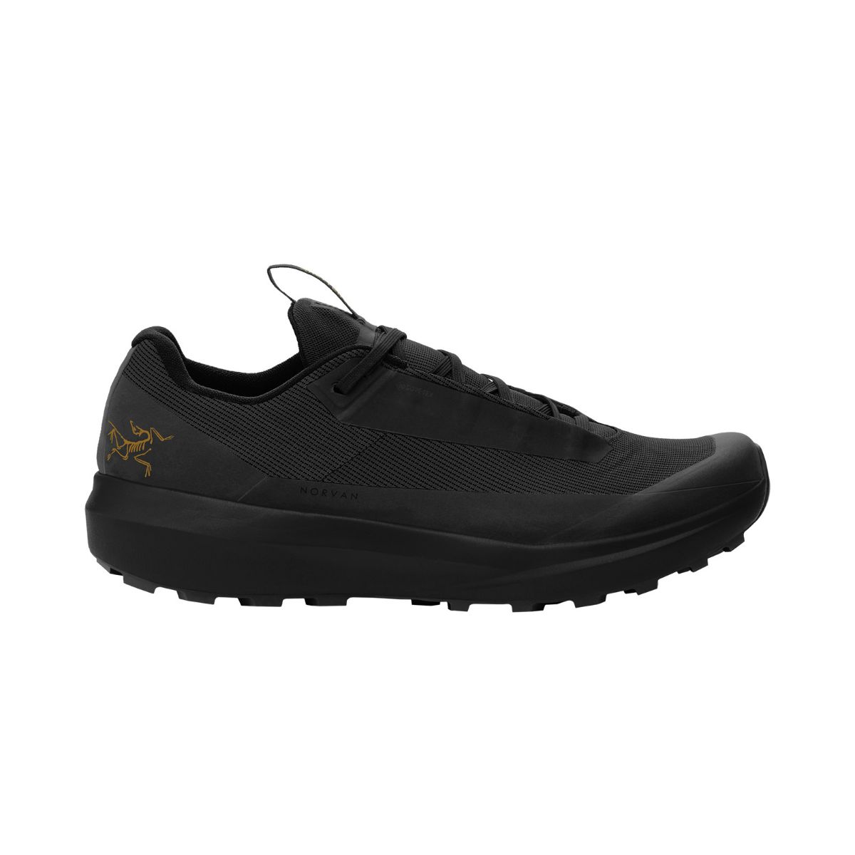 Terrengsko til dame fra Arcteryx i fargen Black Black