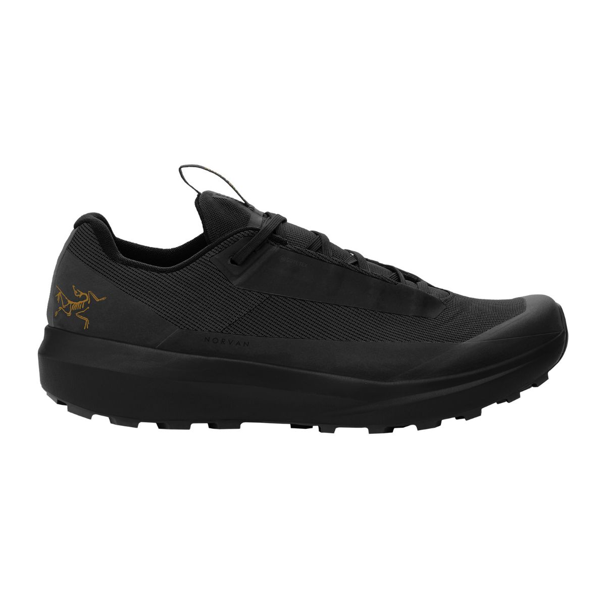 Lette terrengsko til herre fra Arcteryx i fargen Black Black