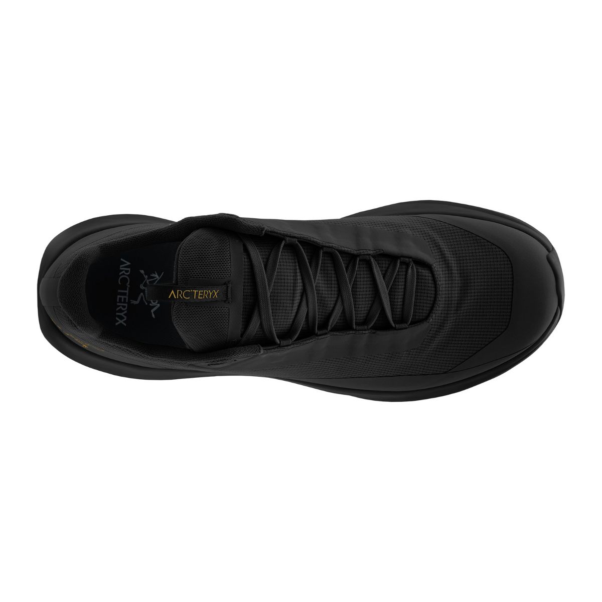 Lette terrengsko til herre fra Arcteryx i fargen Black Black