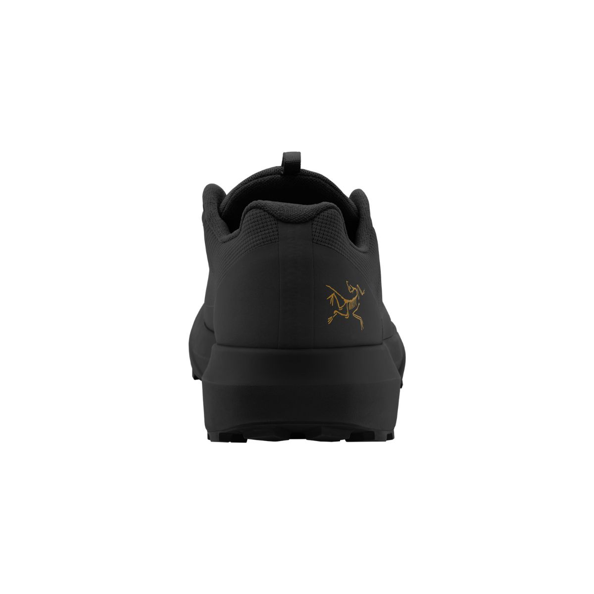 Lette terrengsko til herre fra Arcteryx i fargen Black Black
