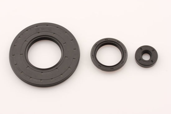 Bilde av OIL SEAL KIT SKI DOO MXZ 600
