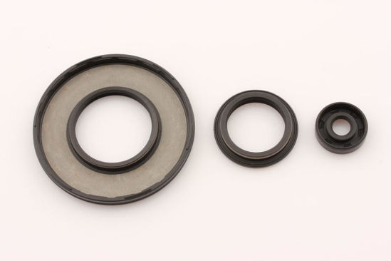 Bilde av OIL SEAL KIT SKI DOO MXZ 600