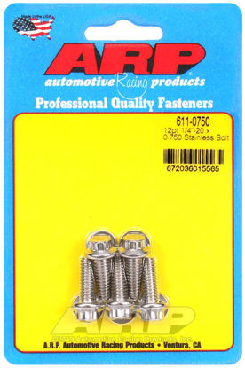 Bilde av 1/4-20 x 0.750 12pt SS bolts