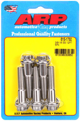 Bilde av 3/8-16 x 1.750 12pt 7/16 wrenching SS bolts