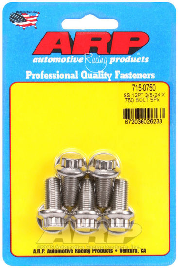 Bilde av 3/8-24 x .750 12pt 7/16 wrenching SS bolts