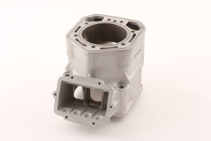 Bilde av BYTTESYLINDER ROTAX MXZ SUMMIT 800 01-04 