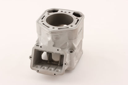 Bilde av BYTTESYLINDER ROTAX MXZ RAVE 800 2003 (S420923811)