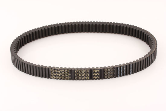 Bilde av VARIATOR REIM