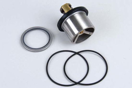 Bilde av THERMOSTAT KIT