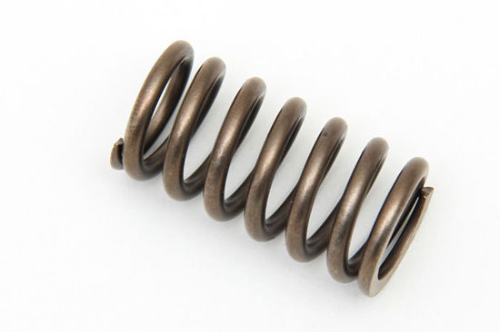 Bilde av VALVE SPRING