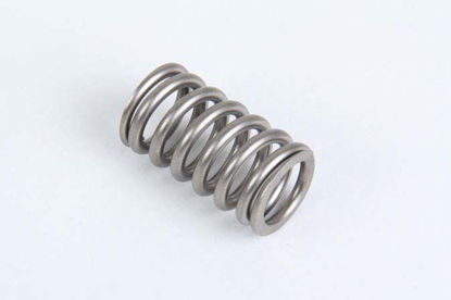 Bilde av VALVE SPRING