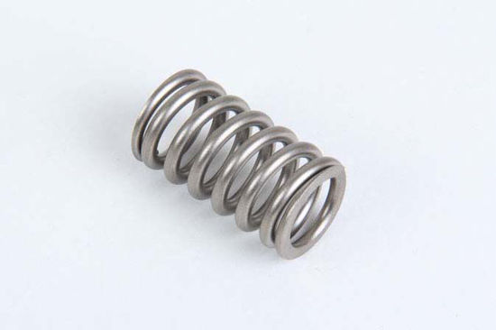 Bilde av VALVE SPRING