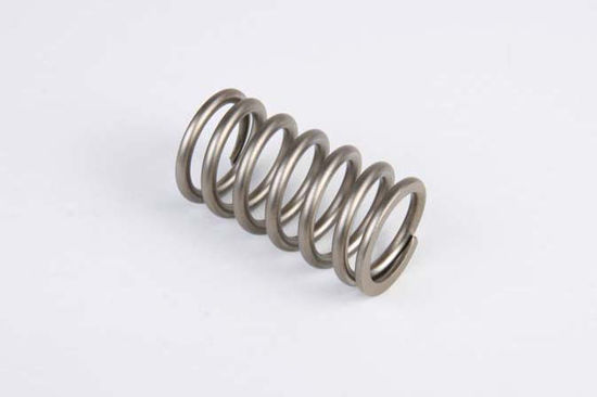 Bilde av VALVE SPRING