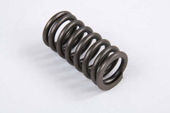 Bilde av VALVE SPRING