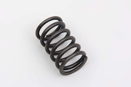 Bilde av VALVE SPRING