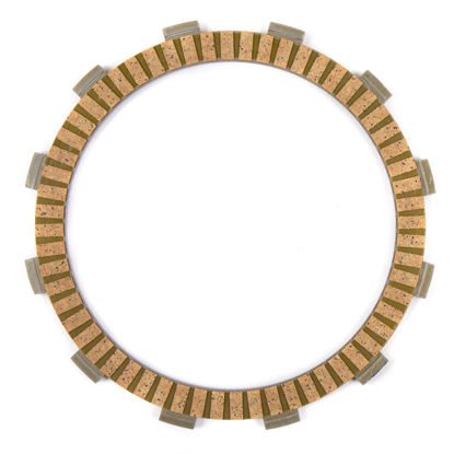 Bilde av Fr Plate CBR1100XX Blackbird '98-03