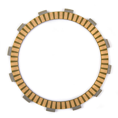 Bilde av Fr Plate I CBR1100XX Blackbird '99-03