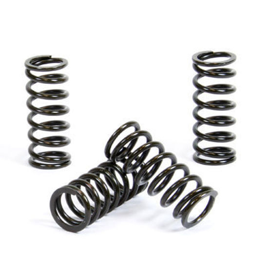 Bilde av ProX Clutch Spring Kit CRF450R '11-12