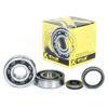 Bilde av ProX Crankshaft Bearing & Seal Kit RM125 '99-11