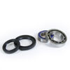 Bilde av ProX Rearwheel Bearing Set YFM450 Kodiak '03-04