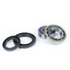 Bilde av ProX Rearwheel Bearing Set YFM35FX Wolverine '00-05