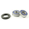 Bilde av ProX Rearwheel Bearing Set GL1200 Gold Wing '84-87