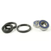 Bilde av ProX Frontwheel Bearing Set VMX17 V-Max '09-15