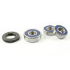 Bilde av ProX Rearwheel Bearing Set XVS1100 V-Star '02-09