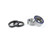 Bilde av ProX Rearwheel Bearing Set DS450 '14-15