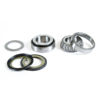 Bilde av ProX Steering Bearing Kit ATC200X '83-87