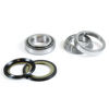 Bilde av ProX Steering Bearing Kit KX60 '84-04 + KLX110 '02-09