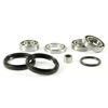 Bilde av ProX Differential Revision Kit Rear Arctic Cat 1000 '12