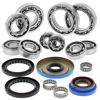Bilde av Prox Differential Revision Kit Rear Sportsman 400 '11-14