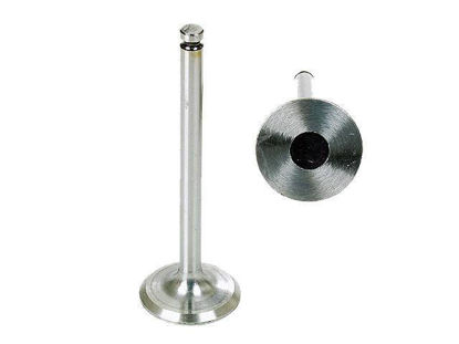 Bilde av INLET VALVE (2) VW/AUDI/SEAT