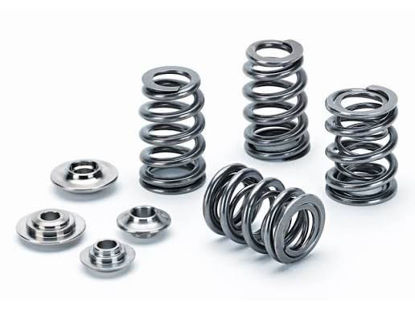 Bilde av Supertech Valve Spring Kit VW 1.8L 8v