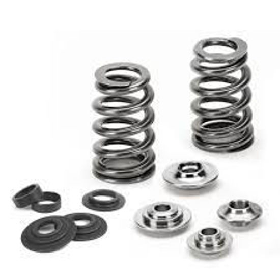 Bilde av Supertech Valve Spring Kit Ford/Mazda 2.0L/2.3L Duratec