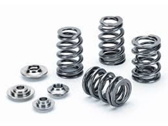 Bilde av Supertech Valve Spring Kit Renault F4R 730/830