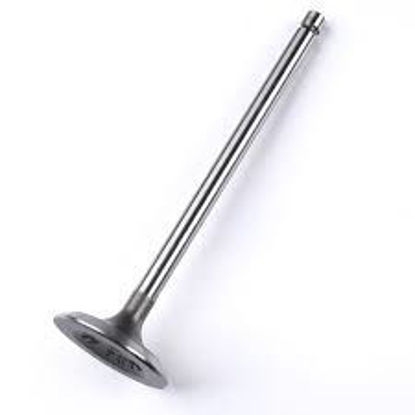 Bilde av Inlet Valve