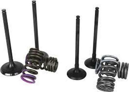 Bilde av Wiseco Steel Valve Set YZ250F '01-13