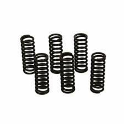 Bilde av Clutch Spring Kit XR400/TRX250/ATC250R