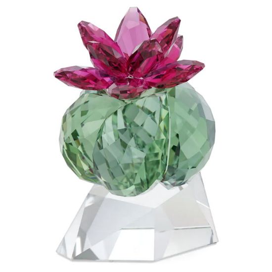 Swarovski figurer Crystal Flowers Bordeaux Cactus - 5426978