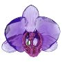 Swarovski figurer Idyllia SCS Orchid Petal - 5669354