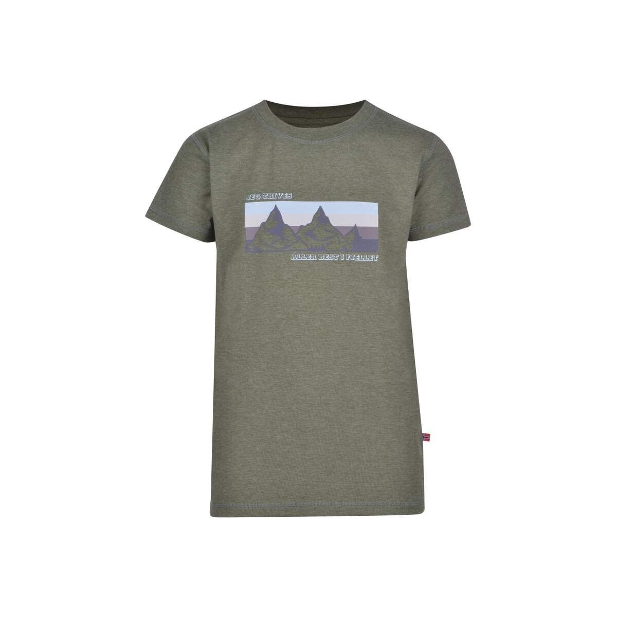 jotunheim-varde-t-shirt-m-print-jr-fjelletfour-leaf-clover